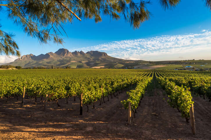 Winelands Adventure
