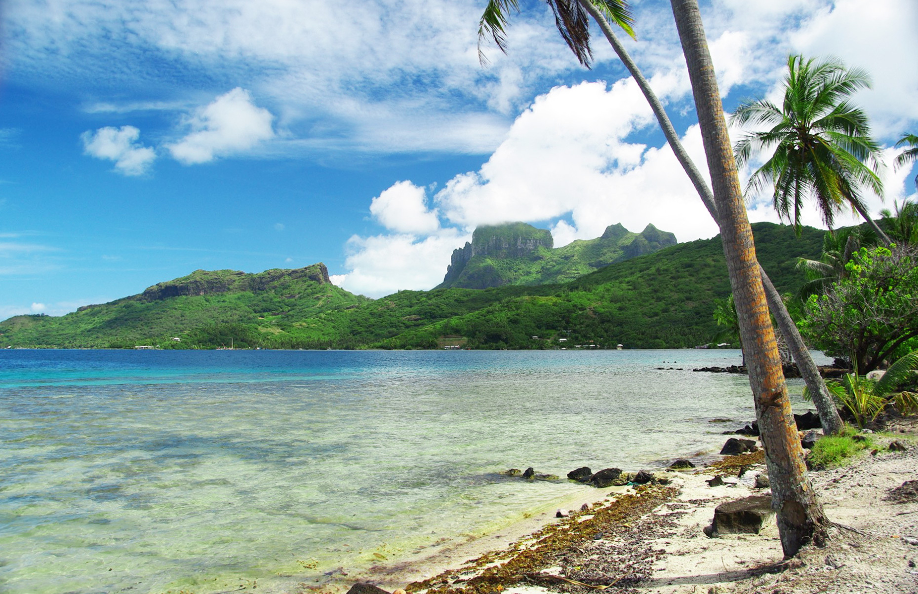 tahiti-beach03.jpg