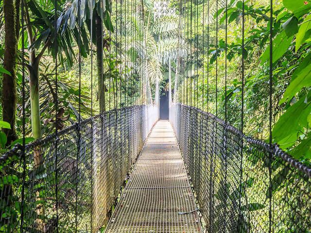 Exploring Arenal Volcano & Punta Islita