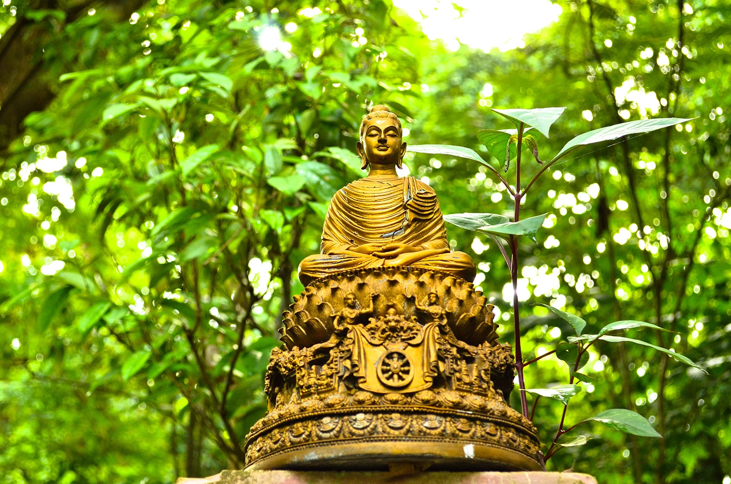 Day02-Buddha-statue.jpg