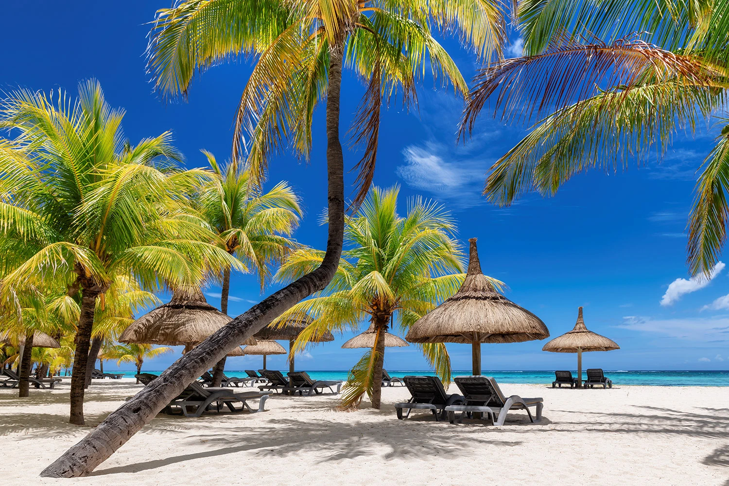 Mauritius Beach