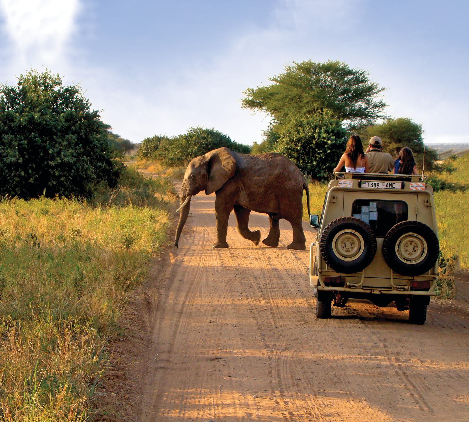 Tauck's Grand Family Safari - You Family's African Adventure Awaits!