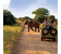 Tauck's Grand Family Safari - You Family's African Adventure Awaits!