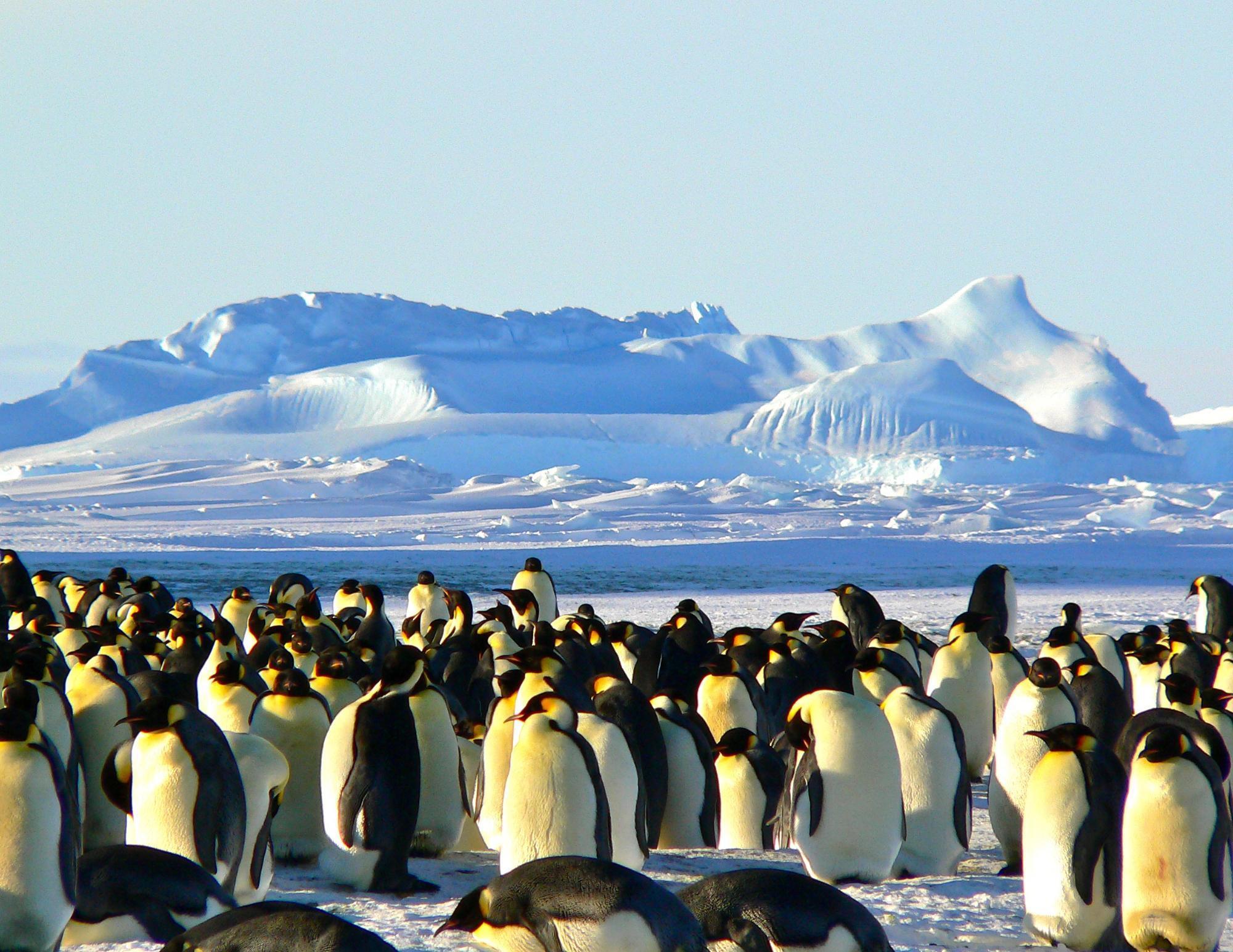 Antarctica Web Photo_min.jpg