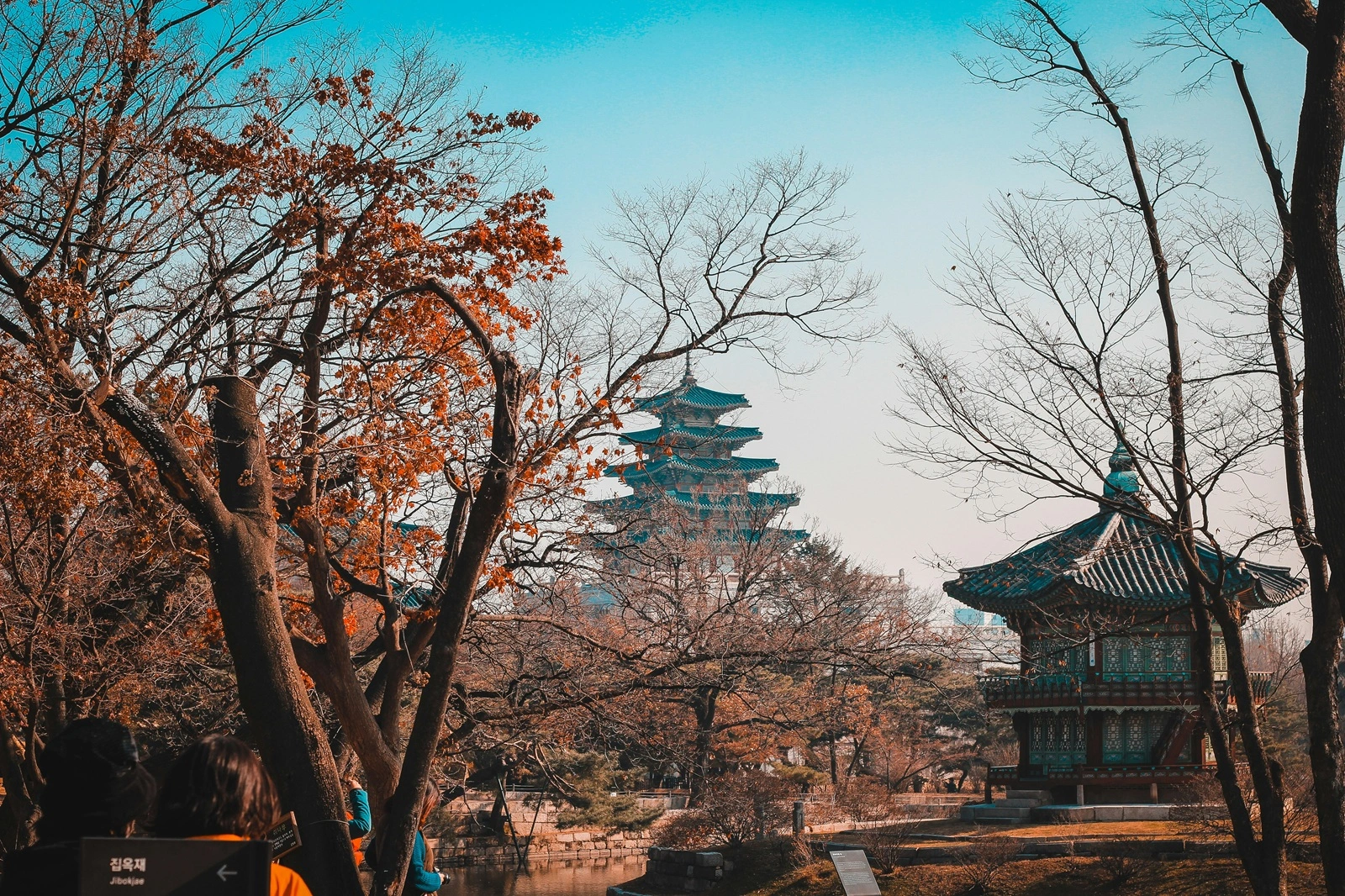 Why You Should Travel to South Korea