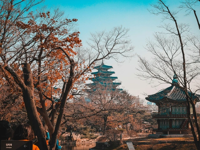 Why You Should Travel to South Korea