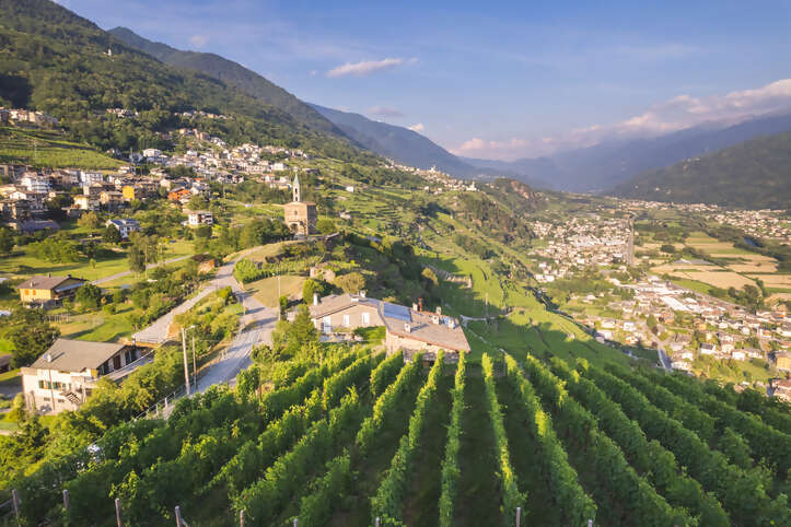 Valtellina Wine Road & Tasting Adventure