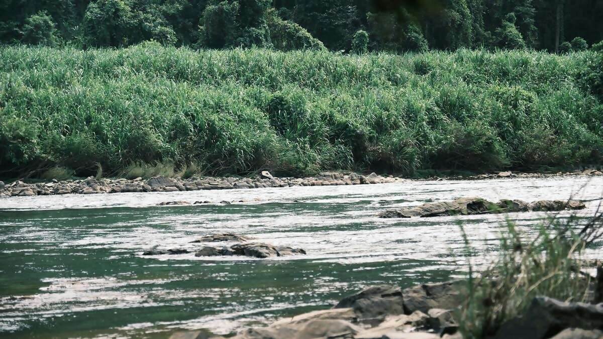 Assin Manso and Kumasi Tour