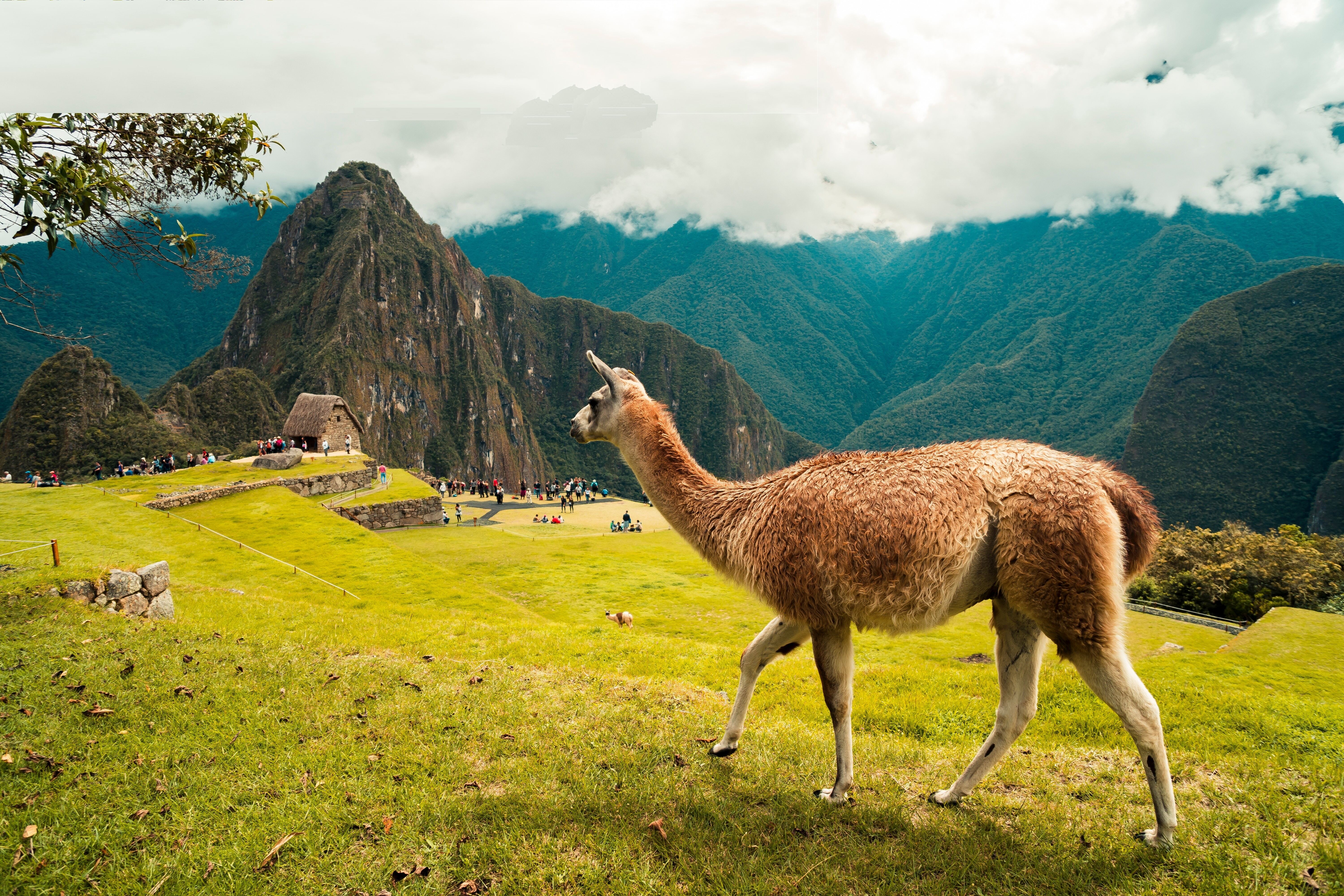 13 Days Discover Peru