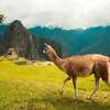 13 Days Discover Peru