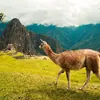 13 Days Discover Peru