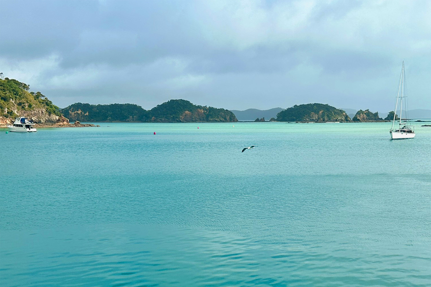 new-zealand04.jpg