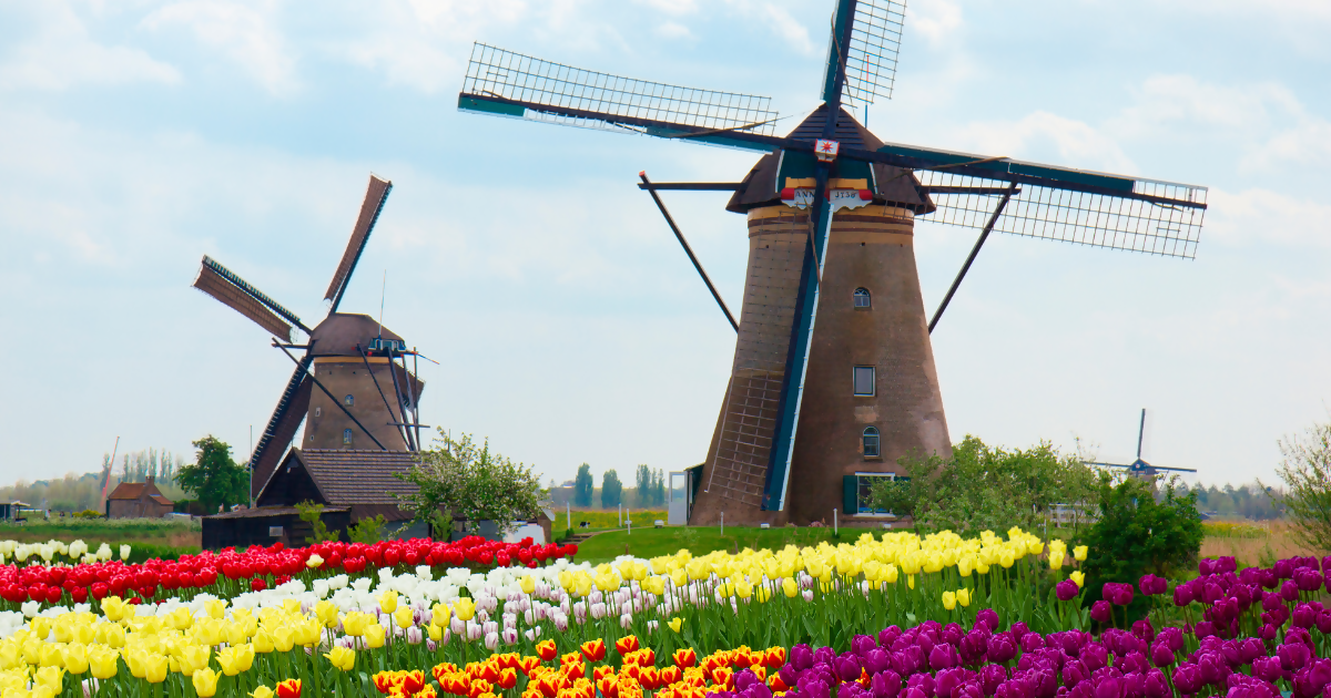 The Netherlands in Bloom with Avalon Waterways - April 7-16, 2026