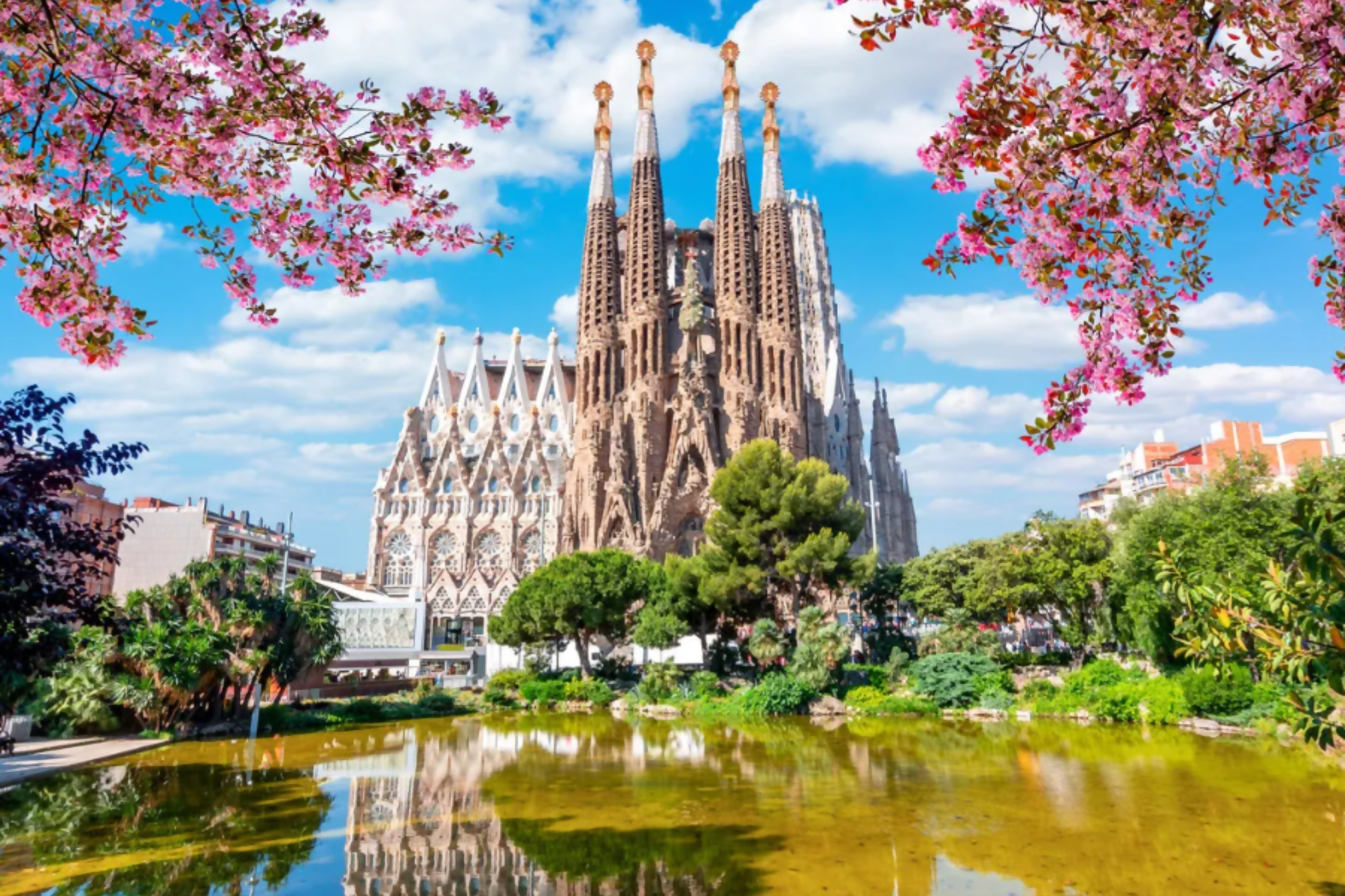 Last Minute Deals with CIE Tours