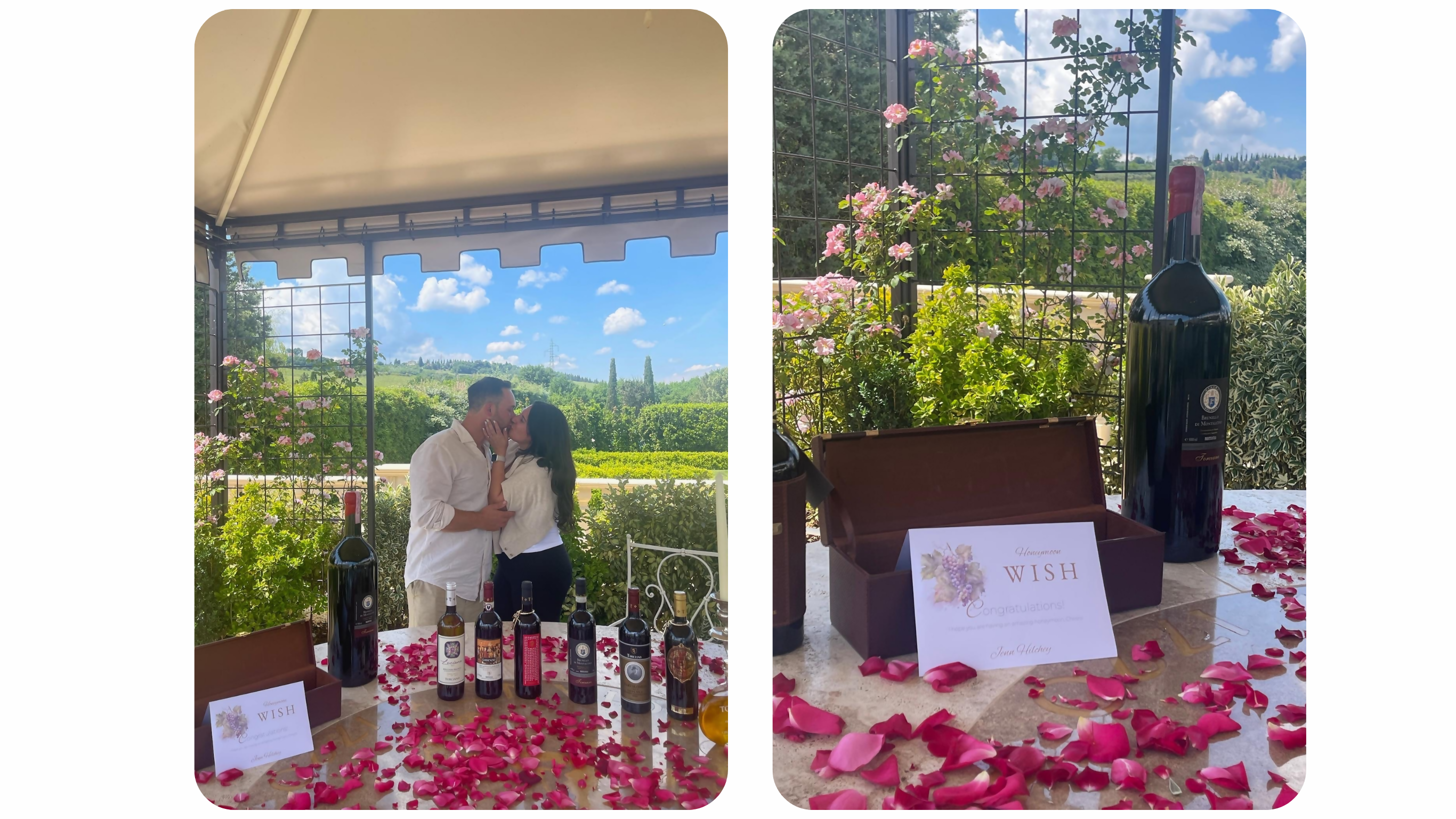 Wine Travel by Jenn Hilchey is the way to go!