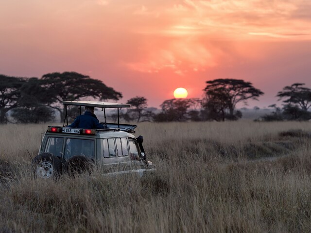Experience the Ultimate Cape Town Adventure and Kruger Big Five Safari Book Your Unforgettable South Africa Journey Now
