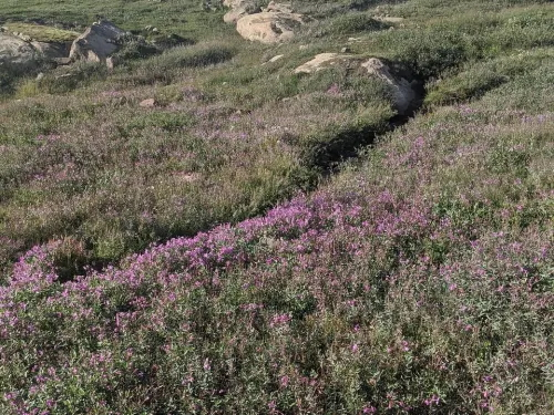 Ancient History and Modern Culture in Mallikjuaq Territorial Park