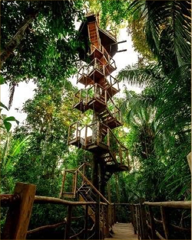 Treehouse Lodge