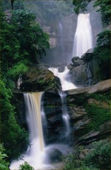Ucayali River