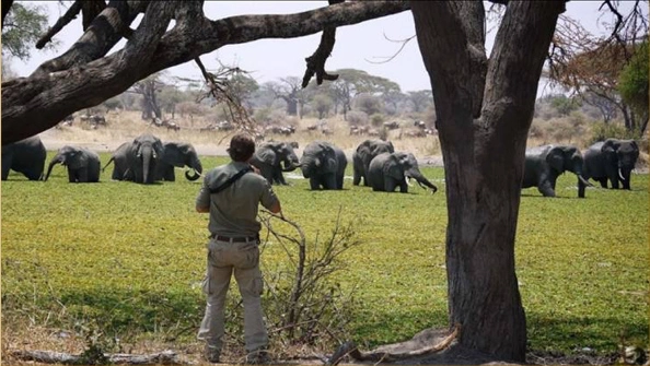 Burunge Wildlife