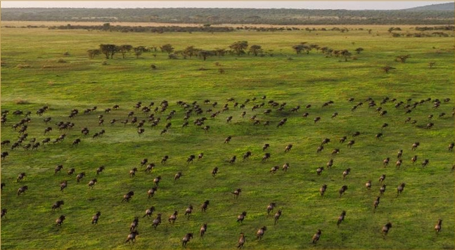 Serengeti National Park