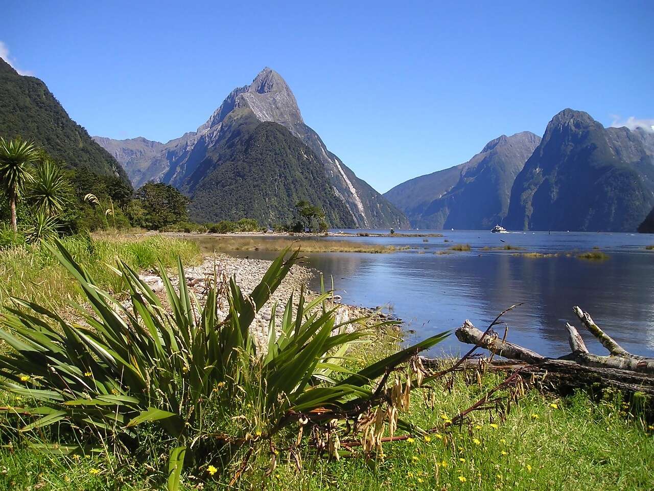 Why New Zealand should be your next destination