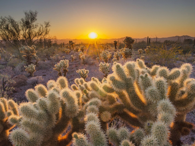 10 Best National Parks for Wildlife Spotting in North America