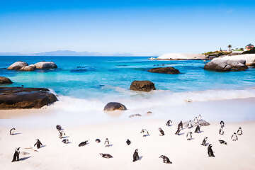 South Africa 2.jpg