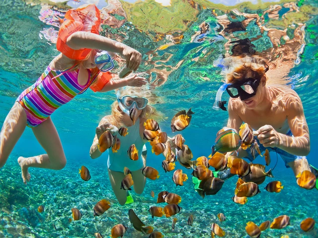 Go Snorkeling
