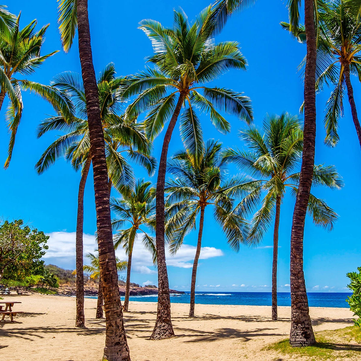 Lanai