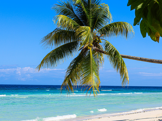 Sunwing Discover Jamaica and Save More