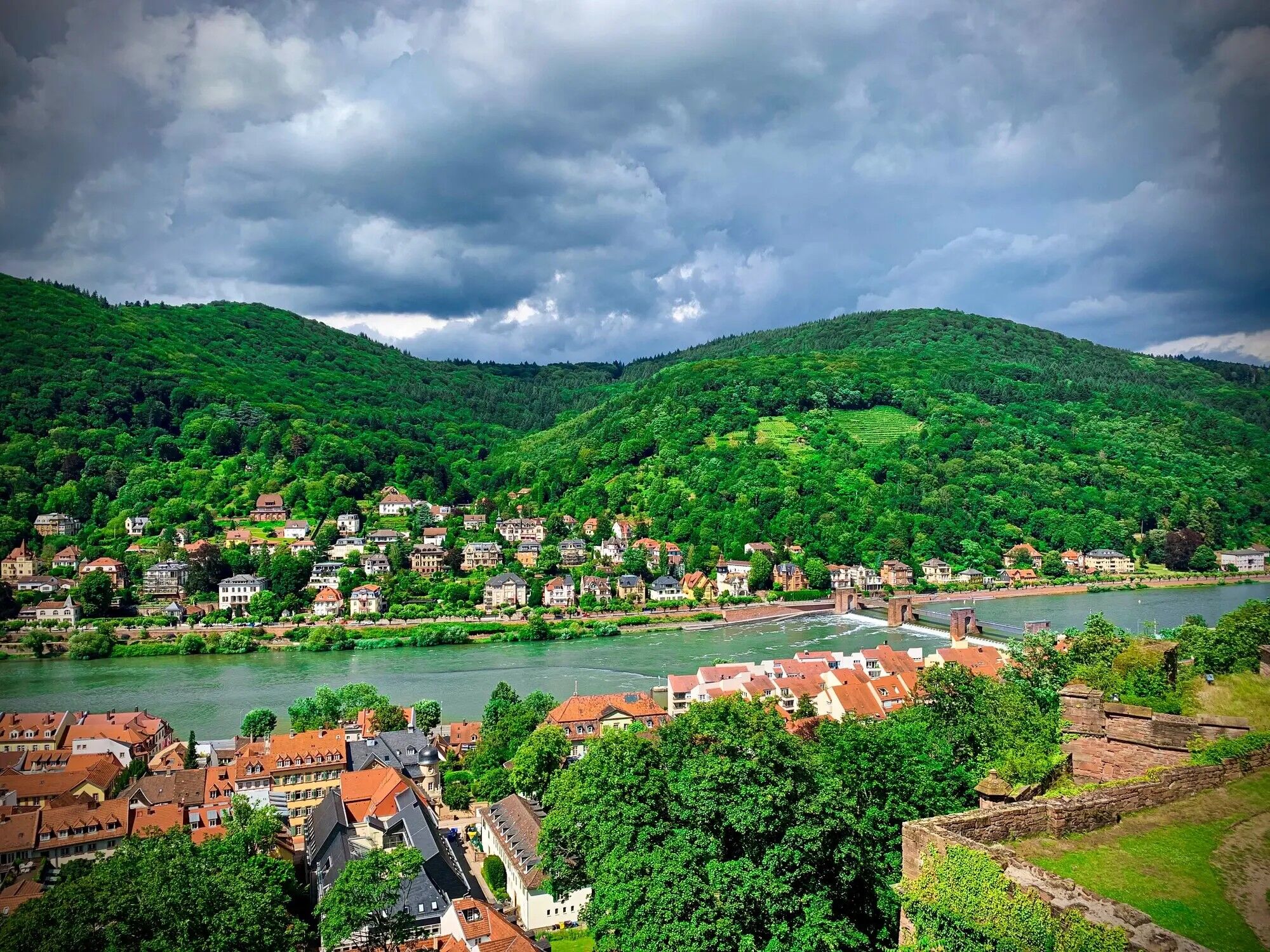 Rhine Gorge with vineyards and castles along the river