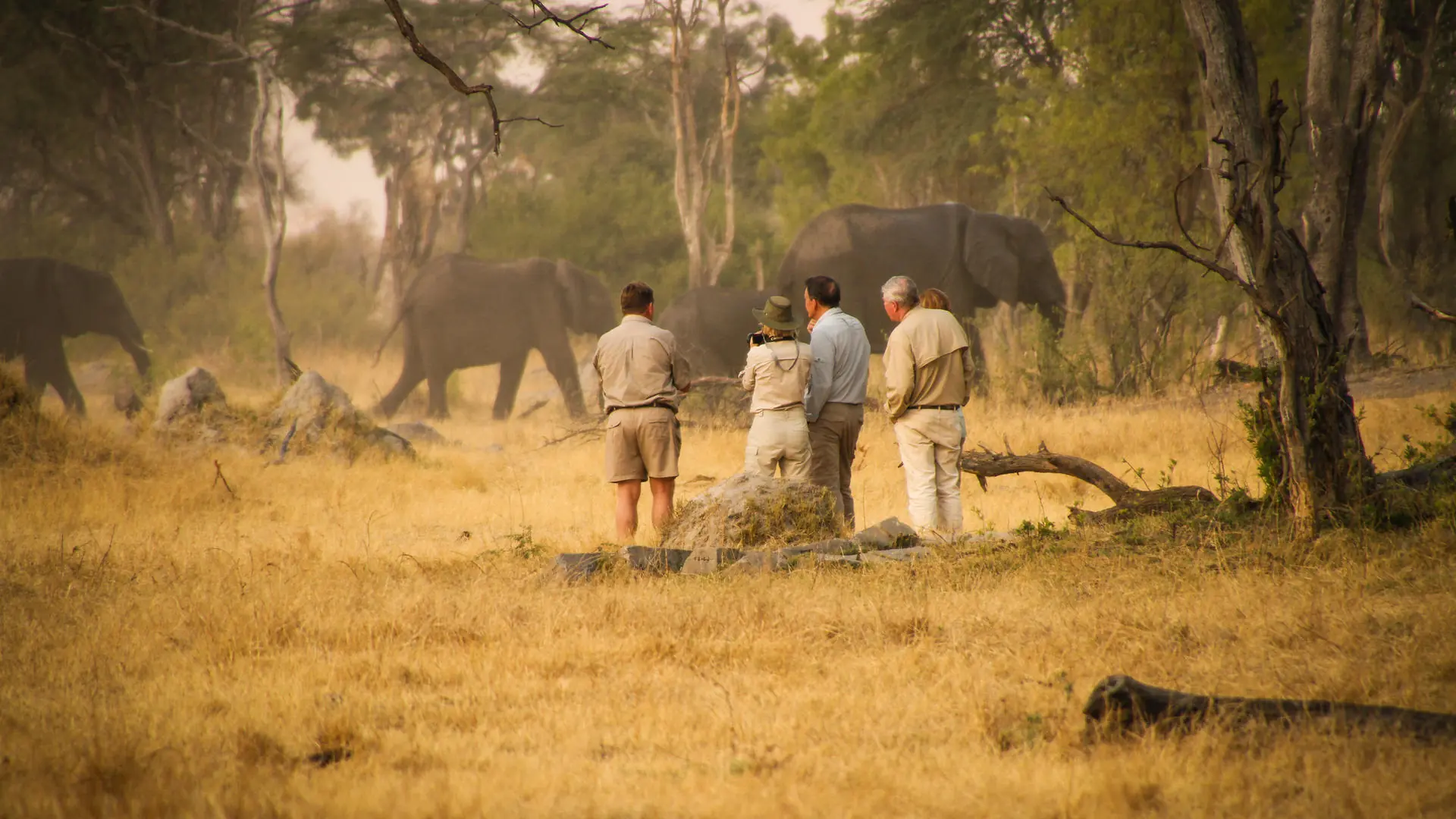 South Africa & Zimbabwe by Design  — A Journey Through Nature, Culture, and Ancient Art