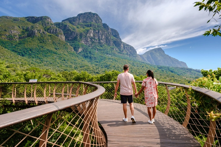 Cape Town Exploration and Vineyard Discovery