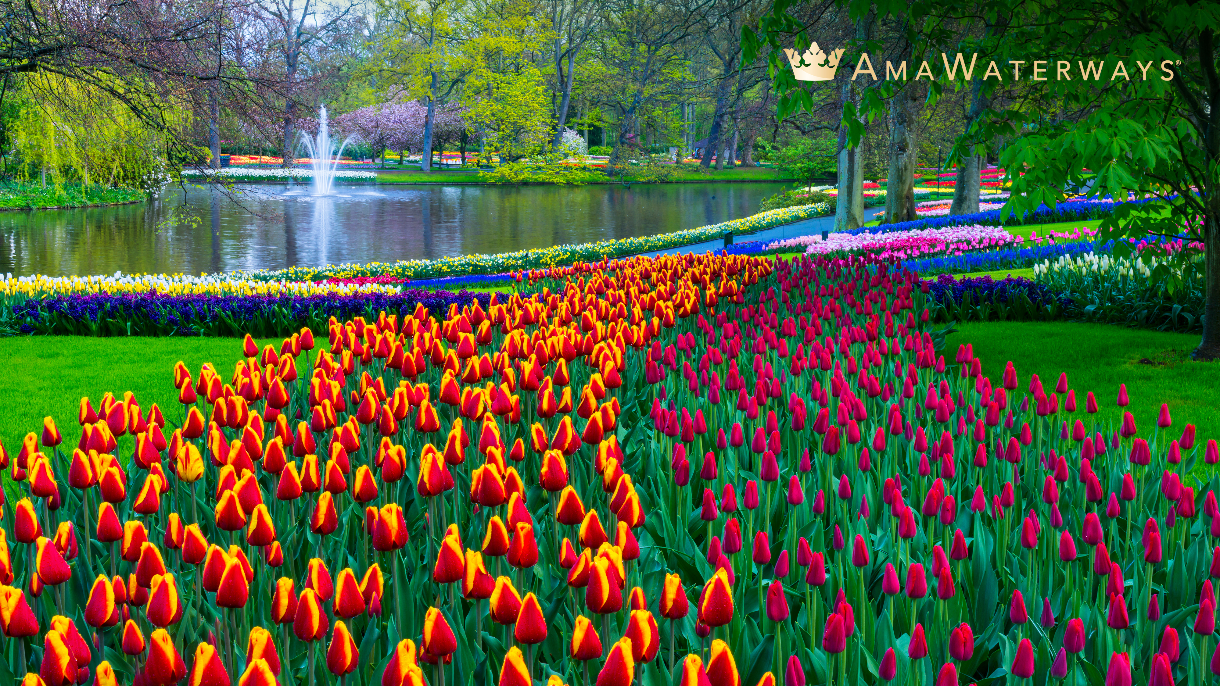 Extend your journey by up to 4 nights with a Complimentary Land Package.