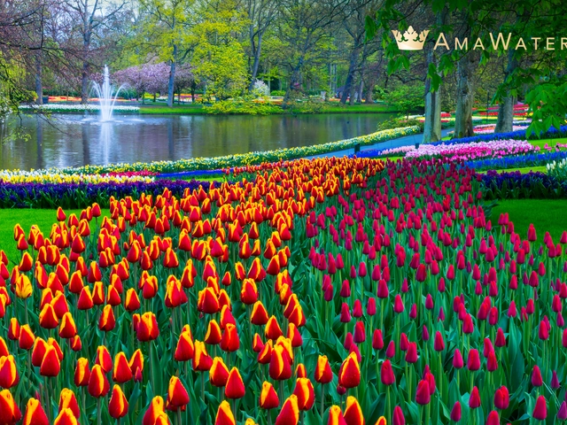 Extend your journey by up to 4 nights with a Complimentary Land Package.