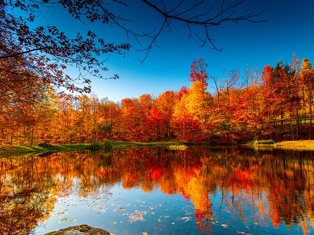 New England