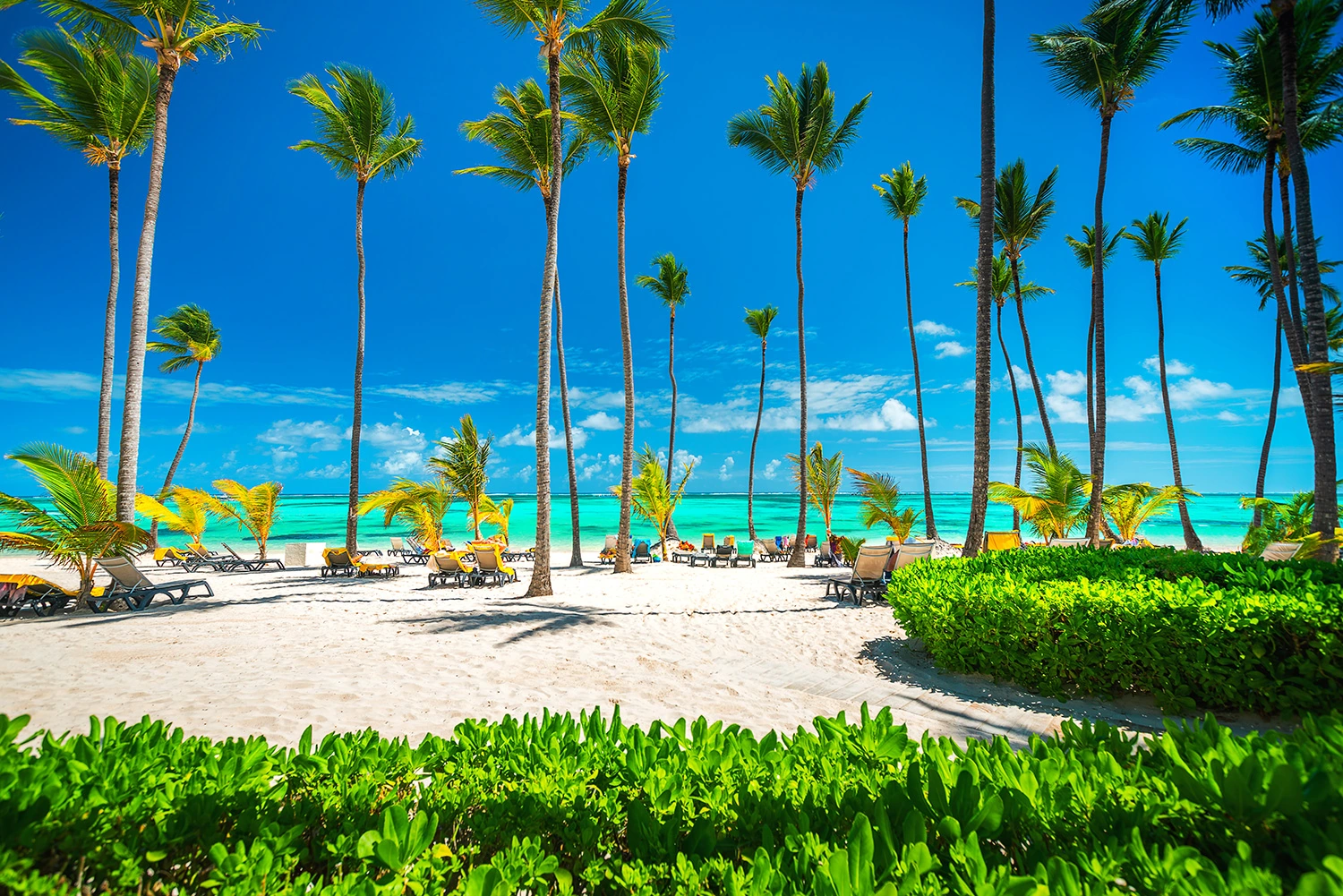 Tropical Beach