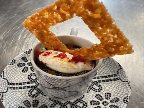 Expedition Cruise Line Introduces 