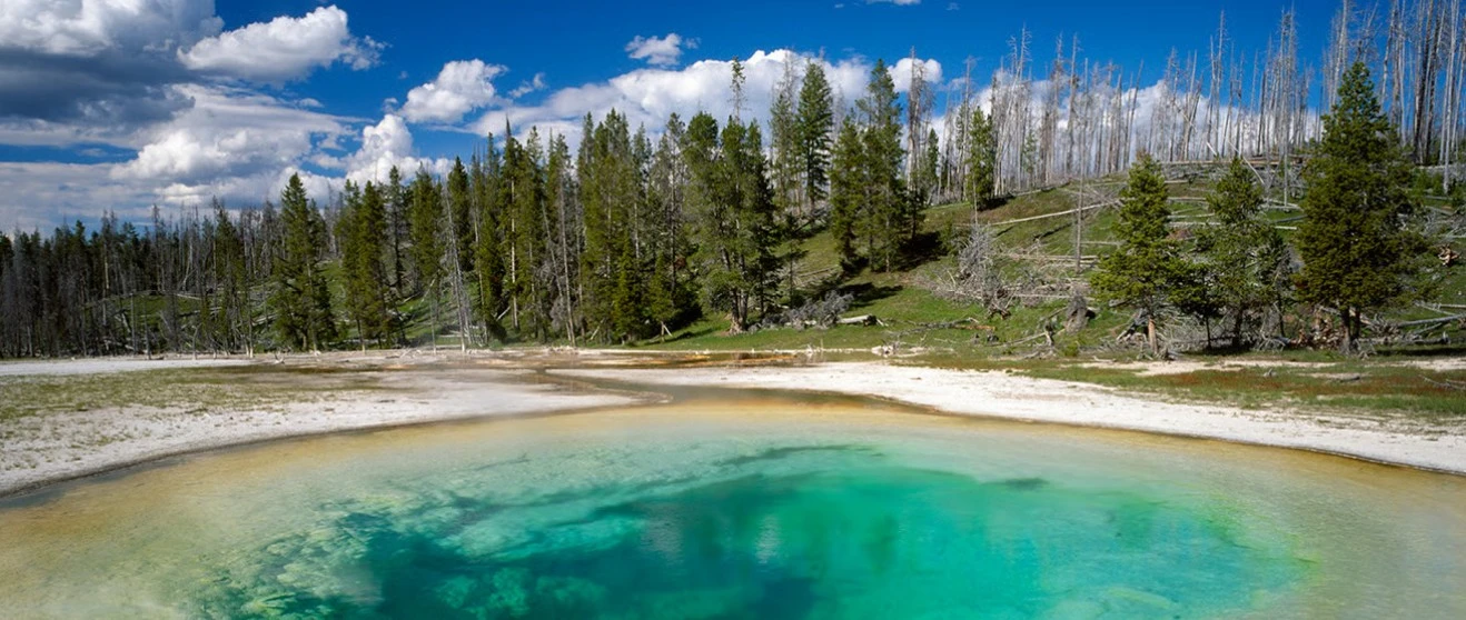Save an extra $150 per person with Cosmos