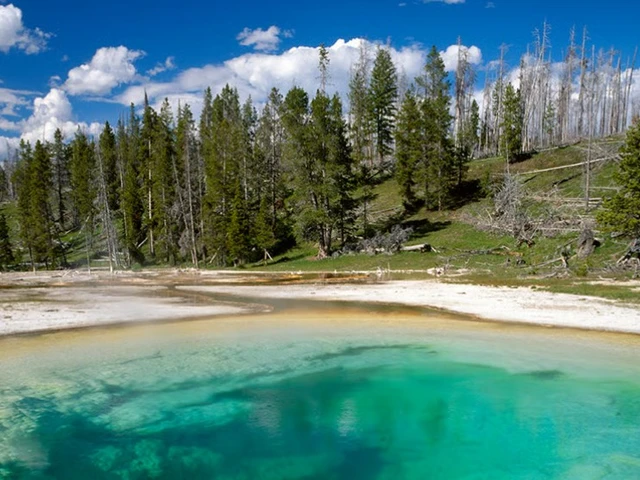 Save an extra $150 per person with Cosmos