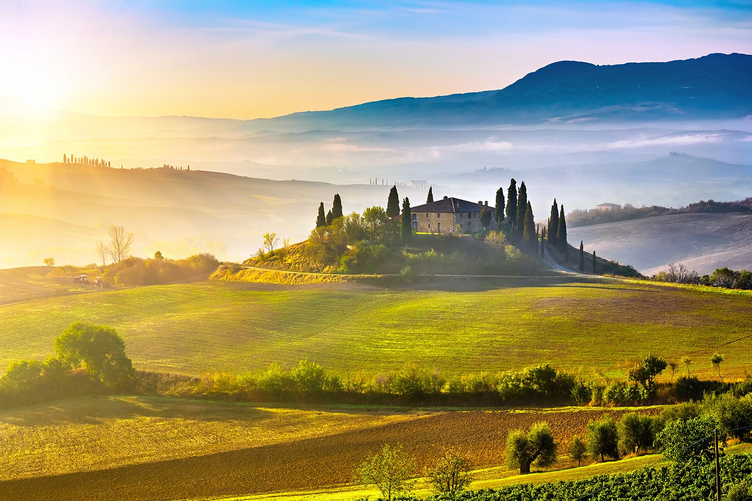 Banner Italy