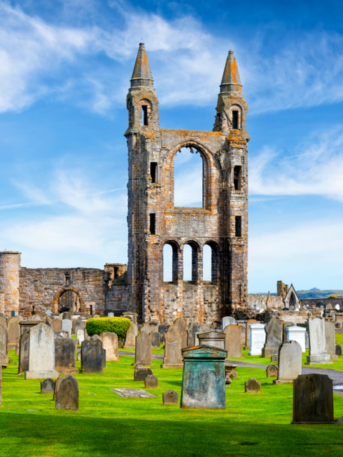 Travel Your Way with CIE Tours