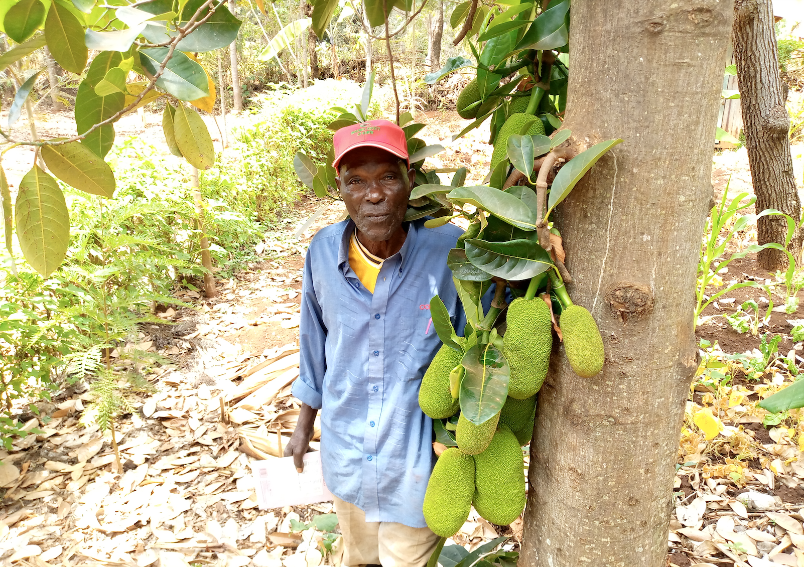 G Adventures Shines Spotlight on Global Tree Projects on Earth Day