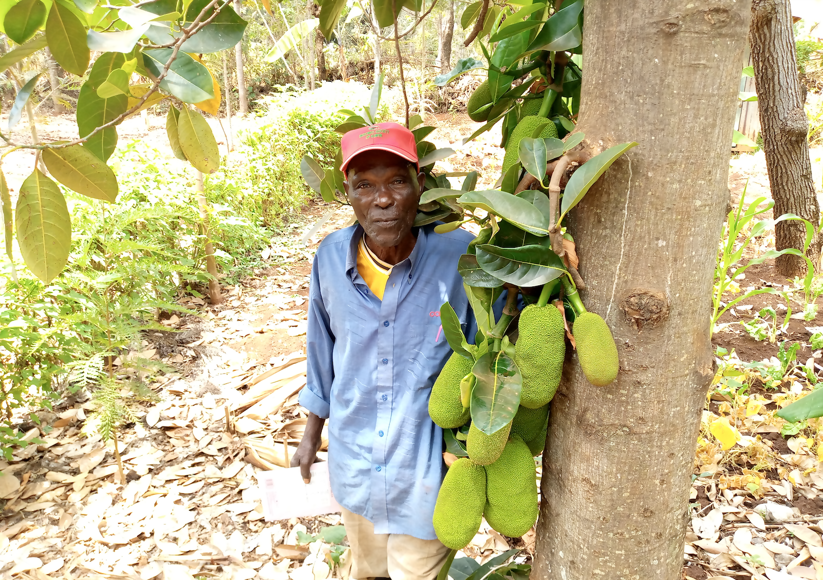 G Adventures Shines Spotlight on Global Tree Projects on Earth Day