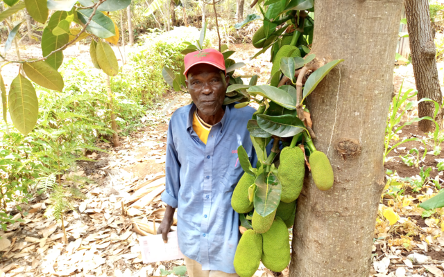 G Adventures Shines Spotlight on Global Tree Projects on Earth Day