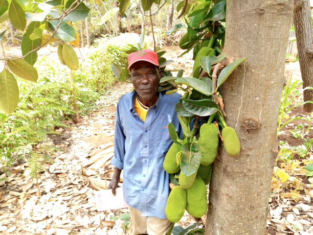 G Adventures Shines Spotlight on Global Tree Projects on Earth Day