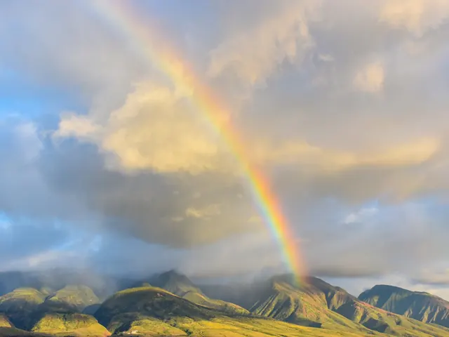 How to Support the Maui and Hawai’i Islands