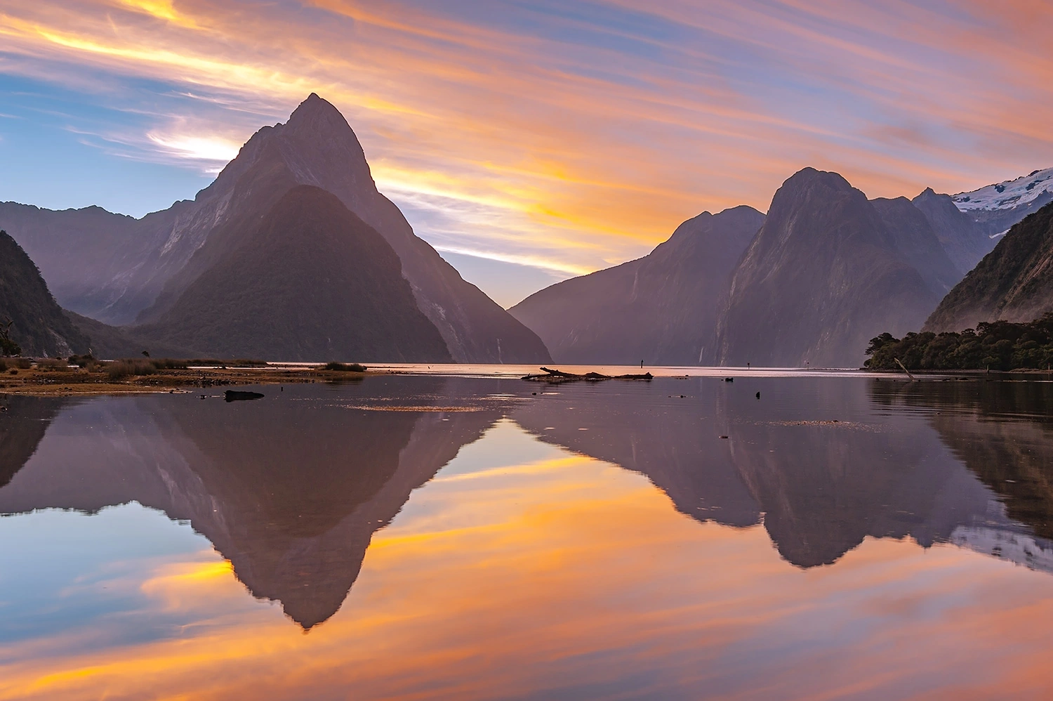 Someday Is Today: Booking My Dream New Zealand Cruise