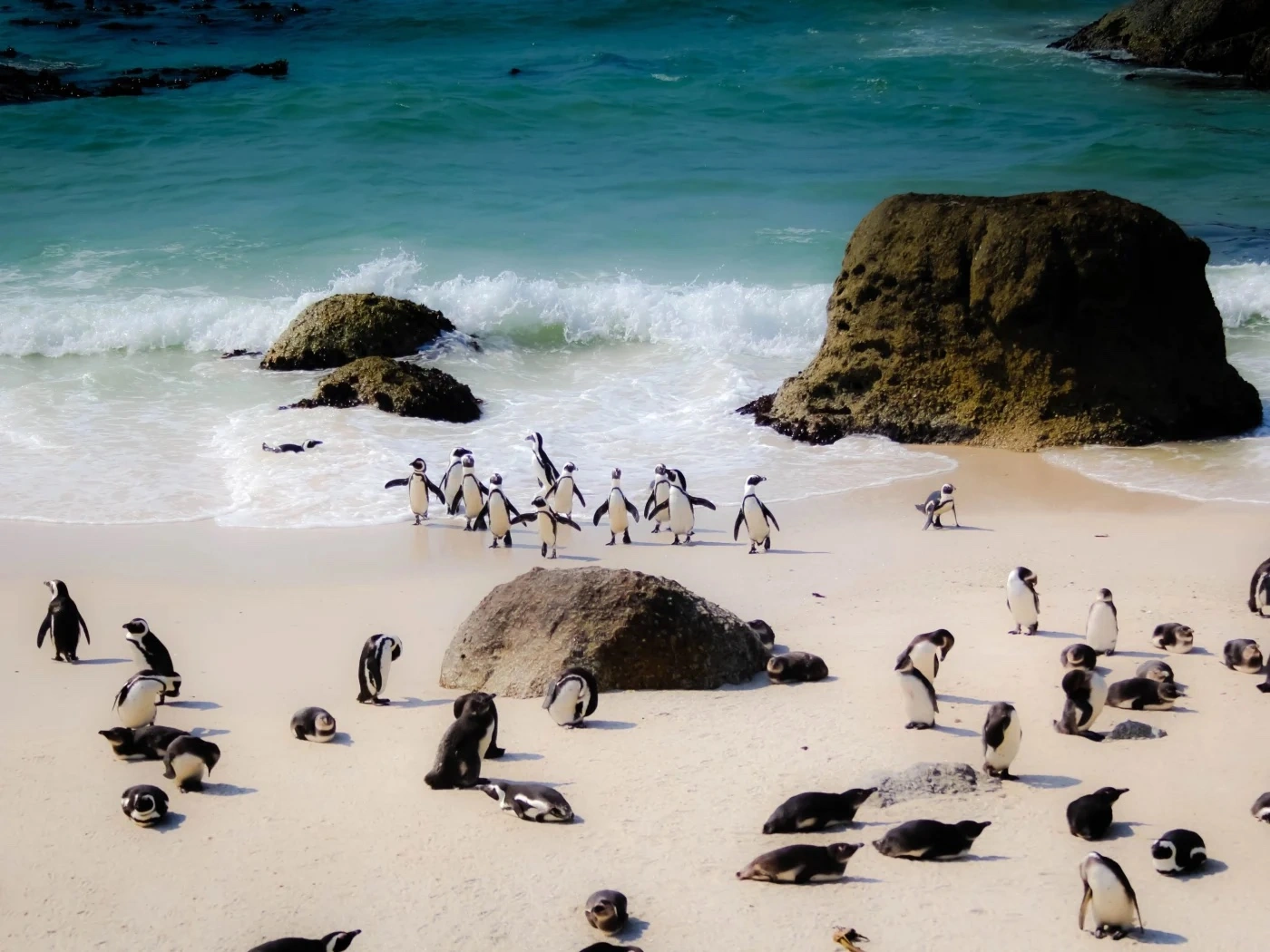 Luxury Southern Africa Safari